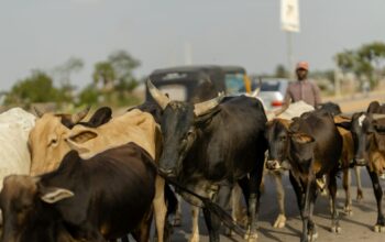 Fulani herders murdered seven innocent Christians in central Nigeria, where violence against Christians is on the rise.