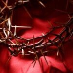 Jesus took on the world's sins by offering salvation and mending our bond with God by atoning for humanity's sins through His Blood shed on the cross.